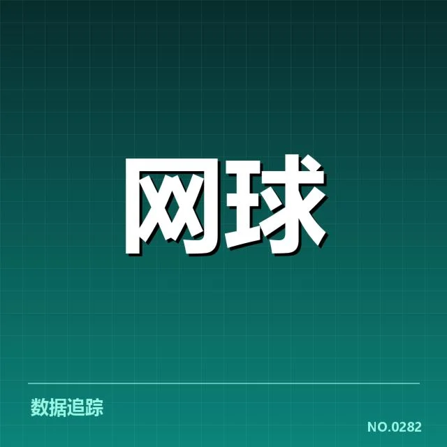 确认的技术细节和战术策略